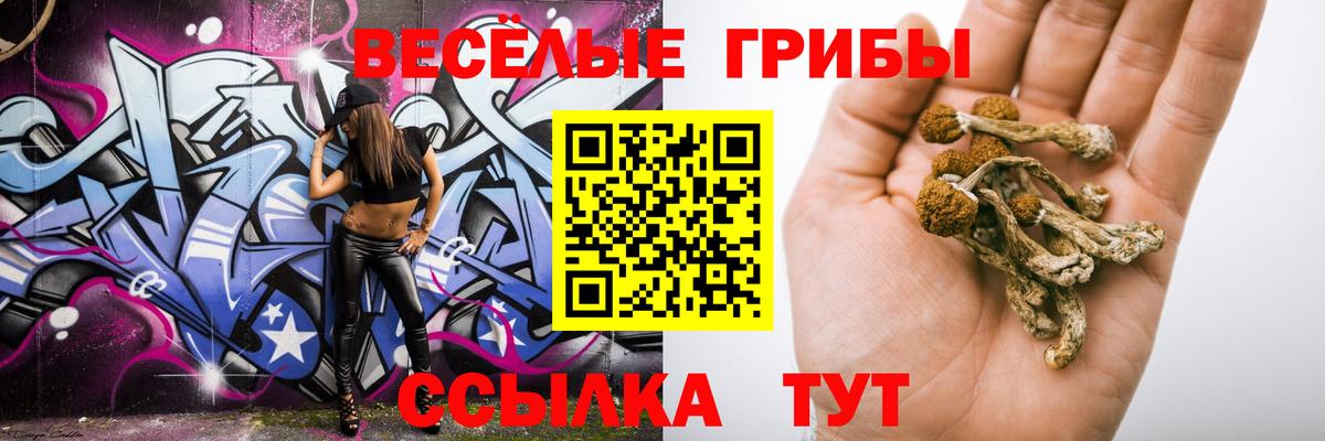 Галлюциногенные грибы мухоморы Псков