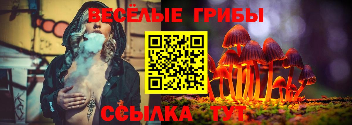 Псков  Галлюциногенные грибы Psilocybe  Галлюциногенные грибы Psilocybe  Вход с VPN 